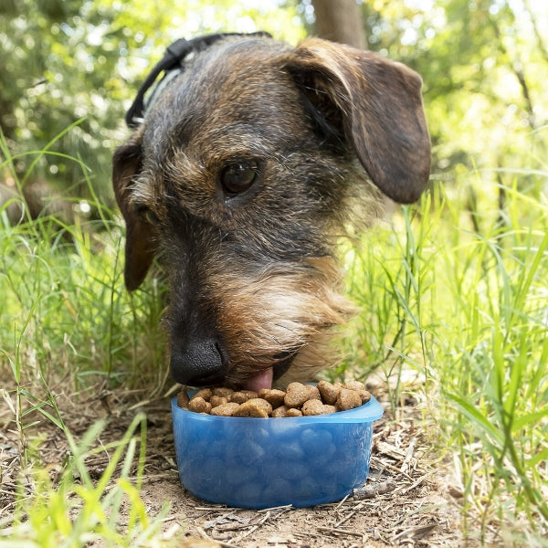 Gourde d'Eau et d'Aliments pour Animaux 2 en 1