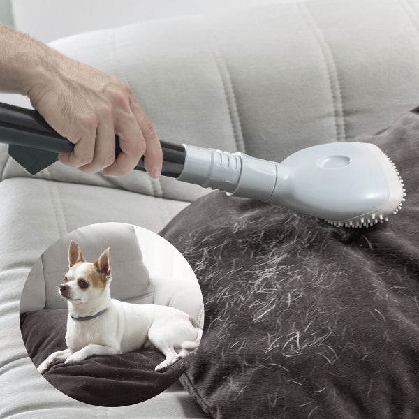 Brosse spéciale poils d'animaux pour Aspirateur