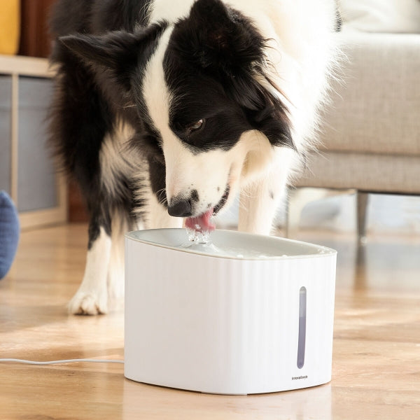 Fontaine à eau filtrante pour Animaux