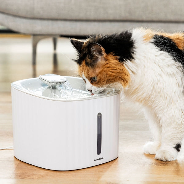 Fontaine à eau filtrante pour Animaux