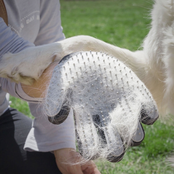 Gant pour Brosser et Masser les Animaux