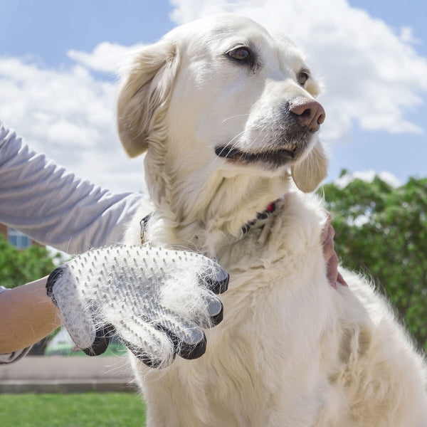 Gant pour Brosser et Masser les Animaux